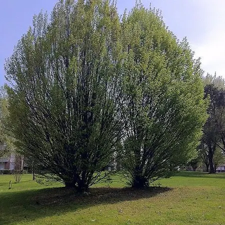 Abitare A Apartamento Padua